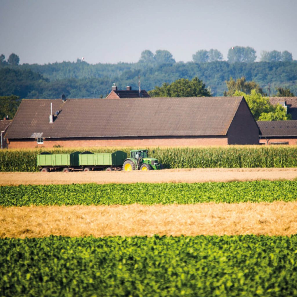 Landwirtschaftlicher Betrieb